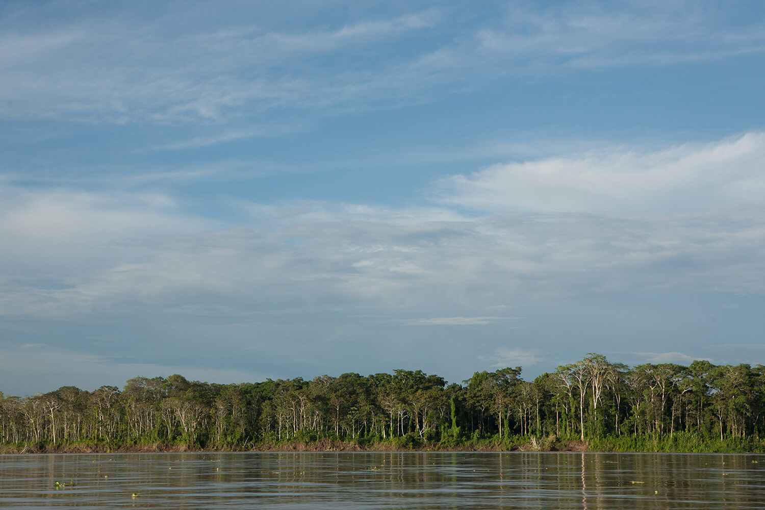 AMAZONAS 26 rio galeria_MG_4296.jpg